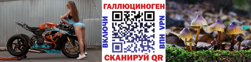 Псилоцибиновые грибы MAGIC MUSHROOMS  Баксан 