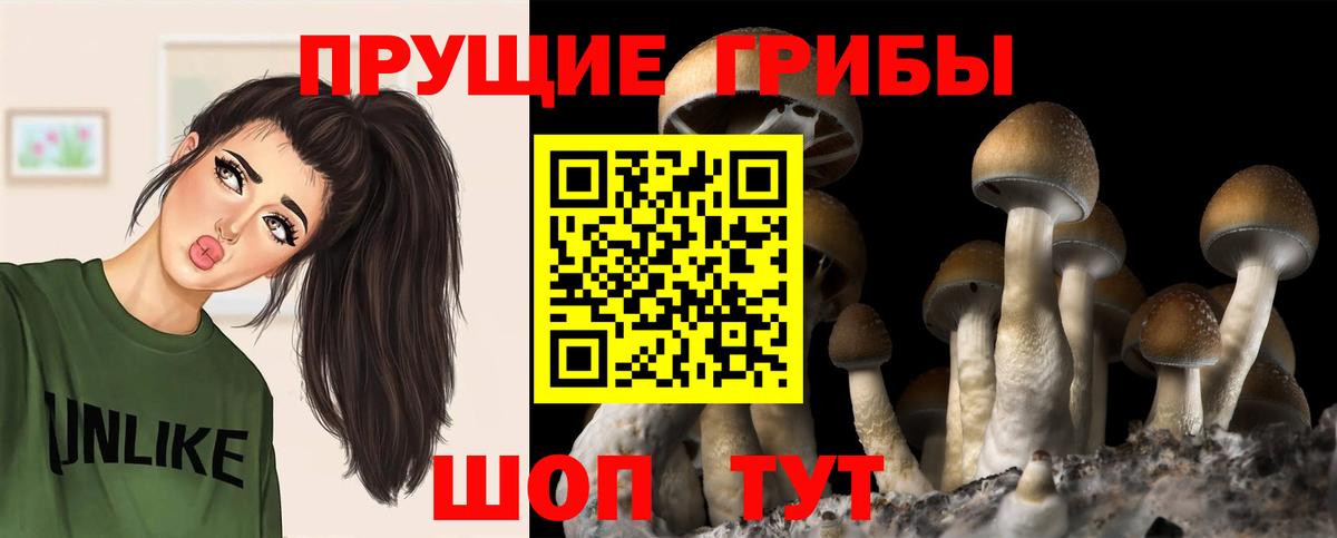 Баксан  МАРИХУАНА  КОКАИН  Мефедрон   Бошки Шишки  Кокаин  ГАШ  A-PVP СК  